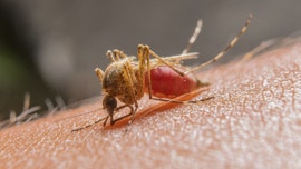 Los Angeles County reports first human West Nile virus cases of the season