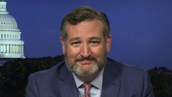 Ted Cruz hits back at Dems allowing 'mob' violence: 'They're refusing to protect their own citizens'