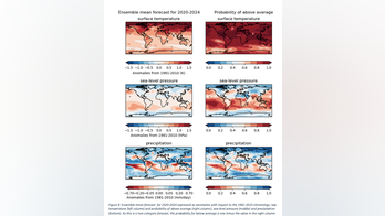 Earth's average temperature will rise 'at least' 1 degree Celsius over next 5 years, WMO says