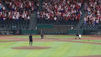 Fox taking fans to the ballgame with a virtual crowd