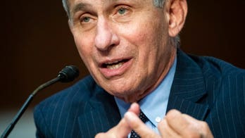 Fauci warns US is ‘knee-deep’ in first wave of coronavirus as new cases hit record numbers in some states