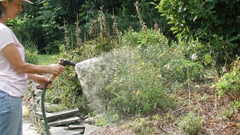 Watering tips for your garden to survive the hot weather