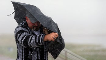Hurricane Hanna weakens to tropical storm after causing pier collapse: reports