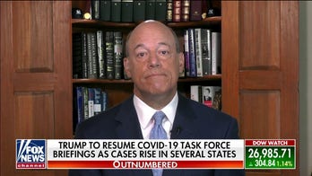 Ari Fleischer: What Trump should do on coronavirus messaging instead of 'brawls' with media