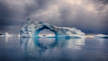 Phytoplankton enhance Arctic Ocean's ability to soak up carbon dioxide, study finds