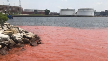 'Plume' spreads in Baltimore's Inner Harbor; water main break to blame
