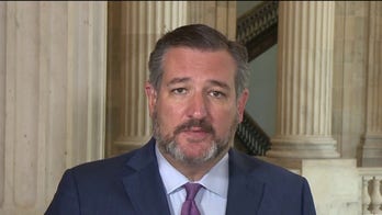 Sen. Cruz: Democratic politicians should be held accountable for 'letting their cities burn'