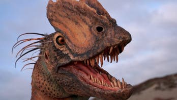 'Jurassic Park' got nearly everything wrong about Dilophosaurus, new study says
