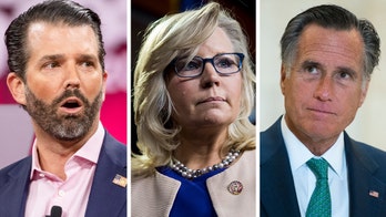 Donald Trump Jr. pans Liz Cheney amid GOP criticism: 'We don't need another' Mitt Romney
