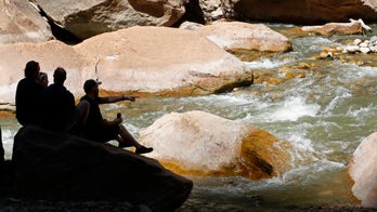 Utah issues warning for Zion National Park river after dog dies of algal bloom exposure after swimming