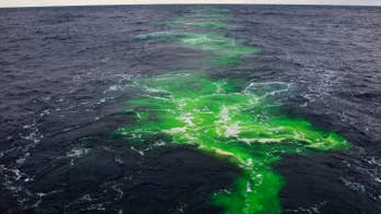 Scientists find first direct evidence of ocean mixing across the Gulf Stream