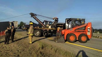 Loose cows block Michigan highway after livestock rig crash