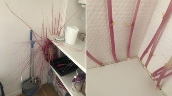 Woman returns home after lockdown to discover 'strange' potato growth: 'I was terrified'