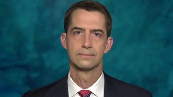 Tom Cotton: Democrat mayors and governors 'playing politics with the lives of their citizens'