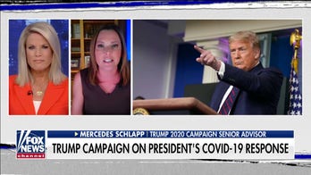 Trump campaign adviser: Obama-Biden's 'depleted' stockpile contrasts starkly with Trump's pandemic response