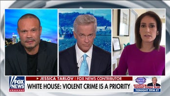 Bongino rips coverage of Portland violence: 'The misinformation is stunning'