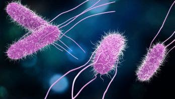 Salmonella outbreak hits 23 states, source unknown: CDC