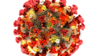 Low on virus cases, deaths, Taiwan quarantines 5,000 after COVID-19 hospital cluster