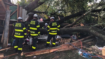 Tree falls on Maryland garage during 'very brief' storm, 19 sent to hospitals