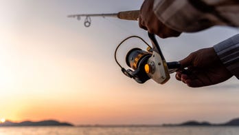 Image of fish with large lips and human-like teeth shocks social media