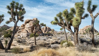 Injured hiker rescued from Joshua Tree National Park nearly 2 days later