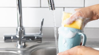 American households argue about doing dishes 217 times a year – here's why, study claims