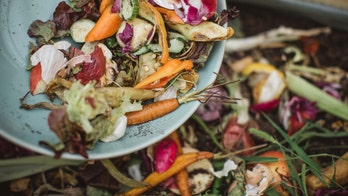 Vermont mandates composting, bans food scraps from trash