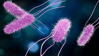 CDC: Salmonella outbreak reported across 15 states, source unidentified