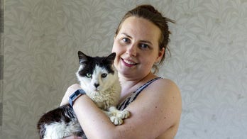 Pet cat reunited with its family 12 years after it escaped