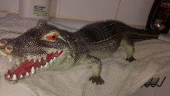 Woman tricked into thinking there was an alligator in her bathtub