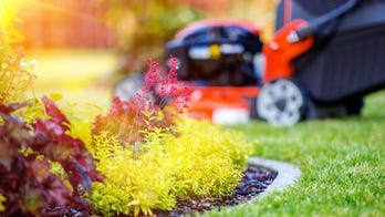 Yard work can burn off excess pounds put on during coronavirus lockdowns, new study suggests