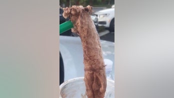 Investigation determines Starbucks barista did not put feminine hygiene product in cop’s drink