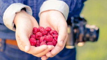 Americans waste hundreds of dollars on fruit each year, survey claims