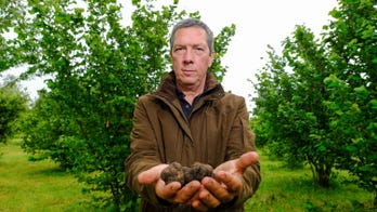 Truffle farmer forced to give away luxury crop to locals for free with fancy restaurants closed
