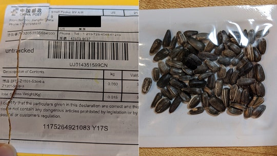 China plant seeds mystery solved? Police, officials think packages sent to US homes could be tied to scam reviews