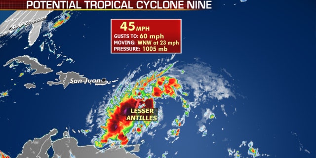 Tropical Cyclone Nine is forecast to develop into Tropical Storm Isaias at some time on Wednesday.