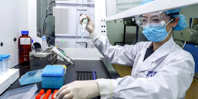 In this April 11, 2020, photo released by Xinhua News Agency, a staff member tests samples of a potential COVID-19 vaccine at a production plant of SinoPharm in Beijing. (Zhang Yuwei/Xinhua via AP)