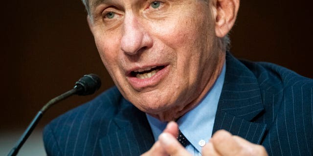 Director of the National Institute of Allergy and Infectious Diseases Dr. Anthony Fauci speaks during a Senate Health, Education, Labor and Pensions Committee hearing on Capitol Hill in Washington, Tuesday, June 30, 2020.