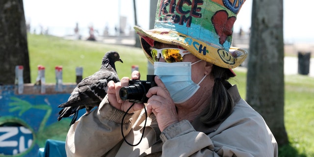 Vendor Vivianne Robinson, wearing a mask to protect from the coronavirus, takes a photo with a pigeon perched on her hand along the Venice Beach strand, Friday, July 3, 2020, in Los Angeles. (AP Photo/Richard Vogel)