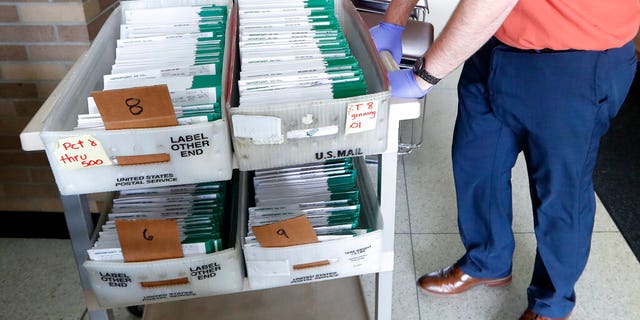 Jordan Smellie moves absentee ballots to be counted at City Hall in Garden City, Mich. (AP Photo/Paul Sancya, File)