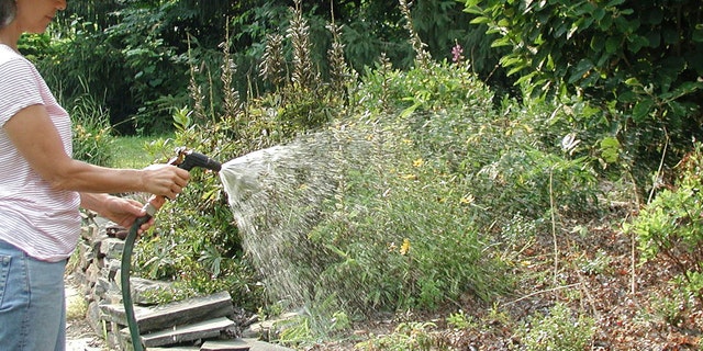 It’s not necessarily less rain that makes soils drier in August; it’s August’s combination of heat and lush plant growth that quickly dries the soil.
