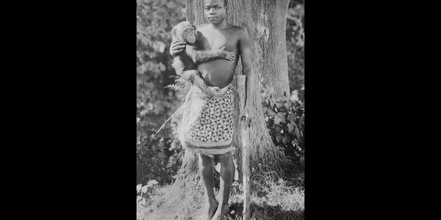 This photo, circa 1915, from the Library of Congress, shows Ota Benga. The organization that runs New York's Bronx Zoo is apologizing for racist episodes in the zoo's past, including putting Ota Benga, a Central African man, on display in the Monkey House in 1906. "In the name of equality, transparency, and accountability, we must confront our organization's historic role in promoting racial injustice as we advance our mission to save wildlife and wild places," officials with the Wildlife Conservation Society said in a statement Wednesday, July 30, 2020. (Library of Congress, Prints & Photographs Division via AP)