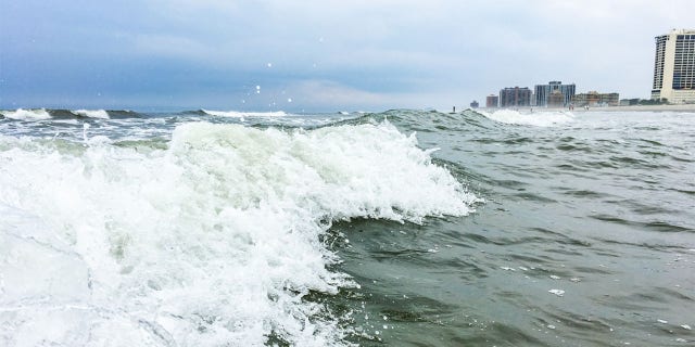 Hernandez gaf het vinden van haar iPhone niet op en ging de volgende dag zelfs terug naar het strand om ernaar te zoeken.