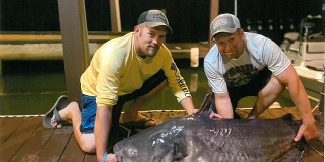 Joey Baird (pictured right) and friend Mark Conroy (pictured left) with Baird's 121-pound, 9-ounce blue catfish. 