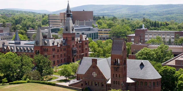 Cornell University buildings viewed from McGraw Tower.