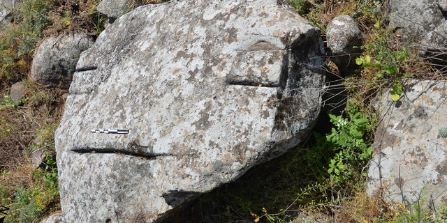 The human face-like rock – covering the Kiryat Shemona dolmen.