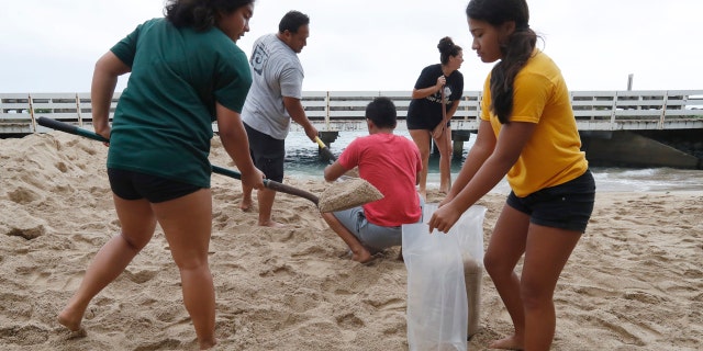 The Keo family assisted the Aubrey family with sandbagging for the preparation of Hurricane Douglas in Hauula, Hawaii, on Sunday, July 26, 2020.