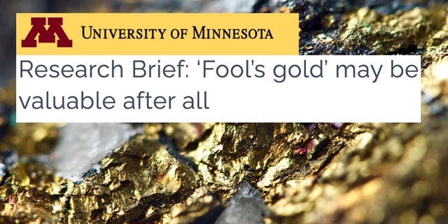 Courtesy University of Minestoa Golden Background. Gold native. Project background. Macro
