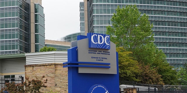 A general view of the Centers for Disease Control headquarters in Atlanta, Georgia on April 23, 2020. (Photo by Tami Chappell/AFP via Getty Images)