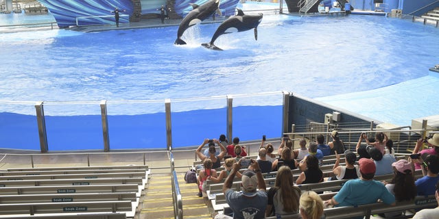 SeaWorld, Busch Gardens offering free admission to veterans and their ...